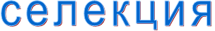 селекция